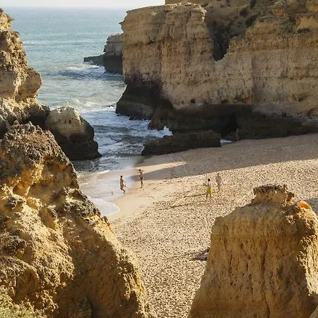 Design House Sao Rafael